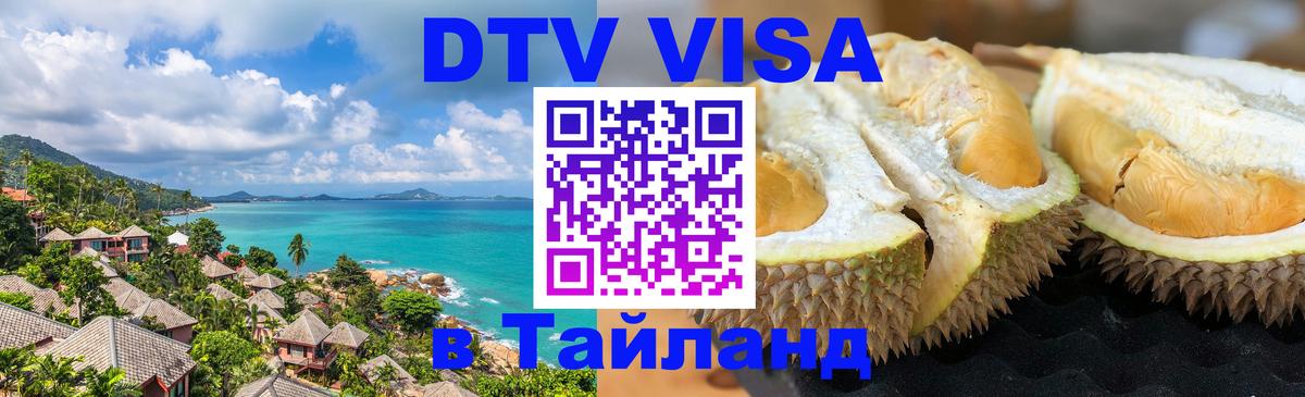 Оформление DTV визы под ключ: стоимость и тарифы, только загранпаспорт - 19.11.2025 